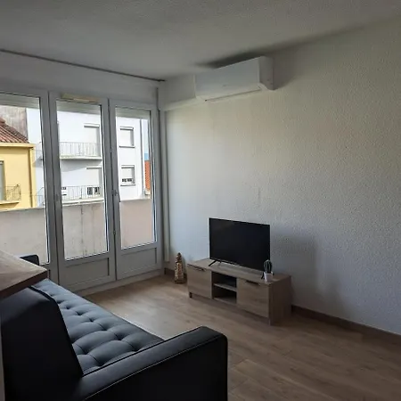 La Savane Avec Parking Privatif Et Climatisation Appartement Perpignan