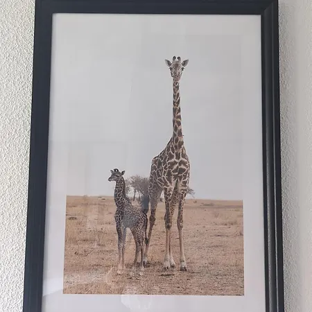 La Savane Avec Parking Privatif Et Climatisation Perpiñán