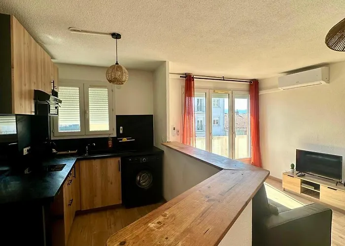 La Savane Avec Parking Privatif Et Climatisation Appartement Perpignan